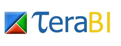 TeraBI